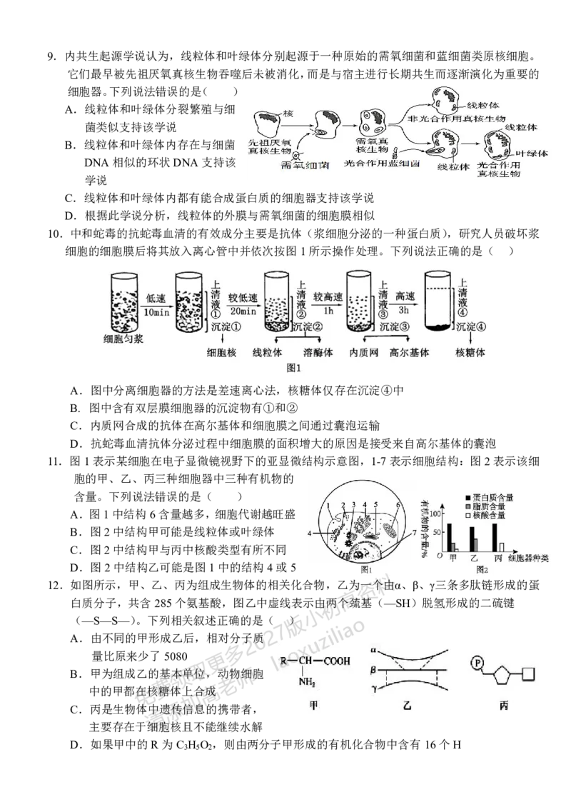 《湖北省荆州市沙市中学2025-2026学年高一上学期11月期中生物试题_2026年高一《月考+期中考+阶段性检测真题合集》全国各省全科无水印》第3页预览