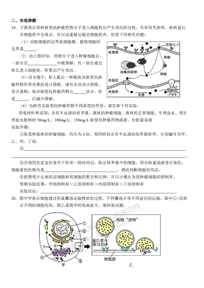 《湖北省荆州市沙市中学2025-2026学年高一上学期11月期中生物试题_2026年高一《月考+期中考+阶段性检测真题合集》全国各省全科无水印》第6页预览