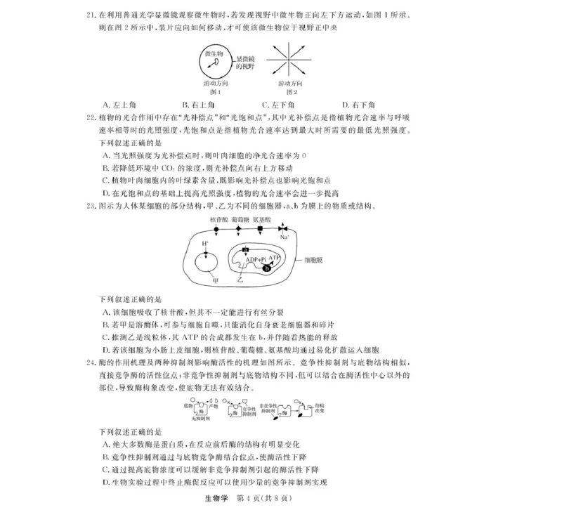 《浙江省强基联盟2025-2026学年高一上学期12月月考生物试题扫描版含解析_2026年高一《月考+期中考+阶段性检测真题合集》全国各省全科无水印_浙江省强基联盟2026学年高一上学期12月月考》第4页预览