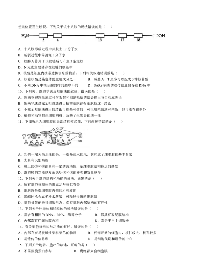 《江苏省扬州市高邮市2025-2026学年高一上学期期中考试生物Word版含答案_2026年高一《月考+期中考+阶段性检测真题合集》全国各省全科无水印》第2页预览