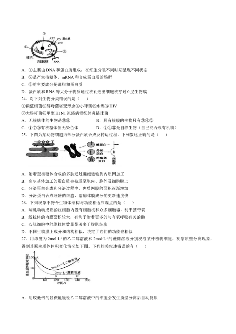《江苏省扬州市高邮市2025-2026学年高一上学期期中考试生物Word版含答案_2026年高一《月考+期中考+阶段性检测真题合集》全国各省全科无水印》第4页预览
