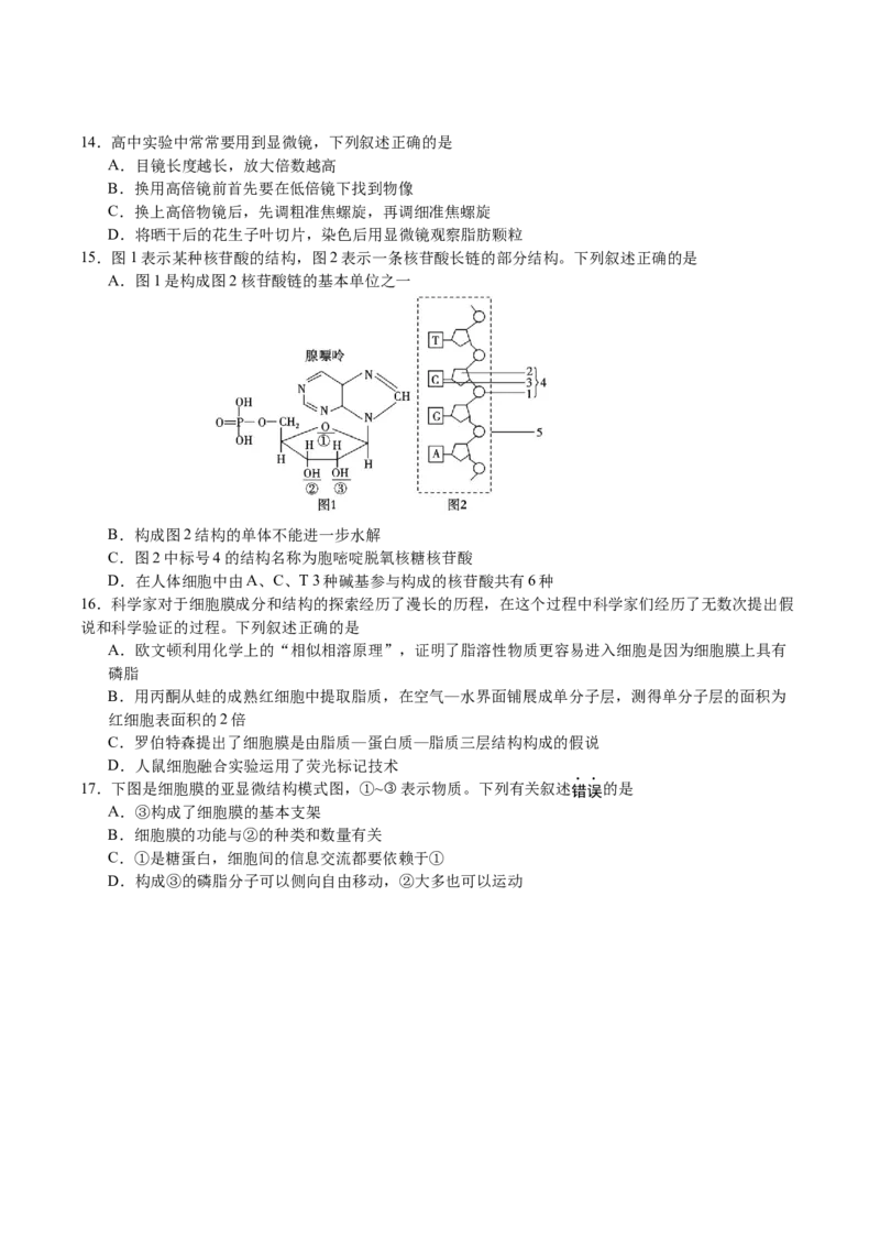 《江苏省扬州市邗江区2025-2026学年高一上学期期中考试生物Word版含答案_2026年高一《月考+期中考+阶段性检测真题合集》全国各省全科无水印》第3页预览