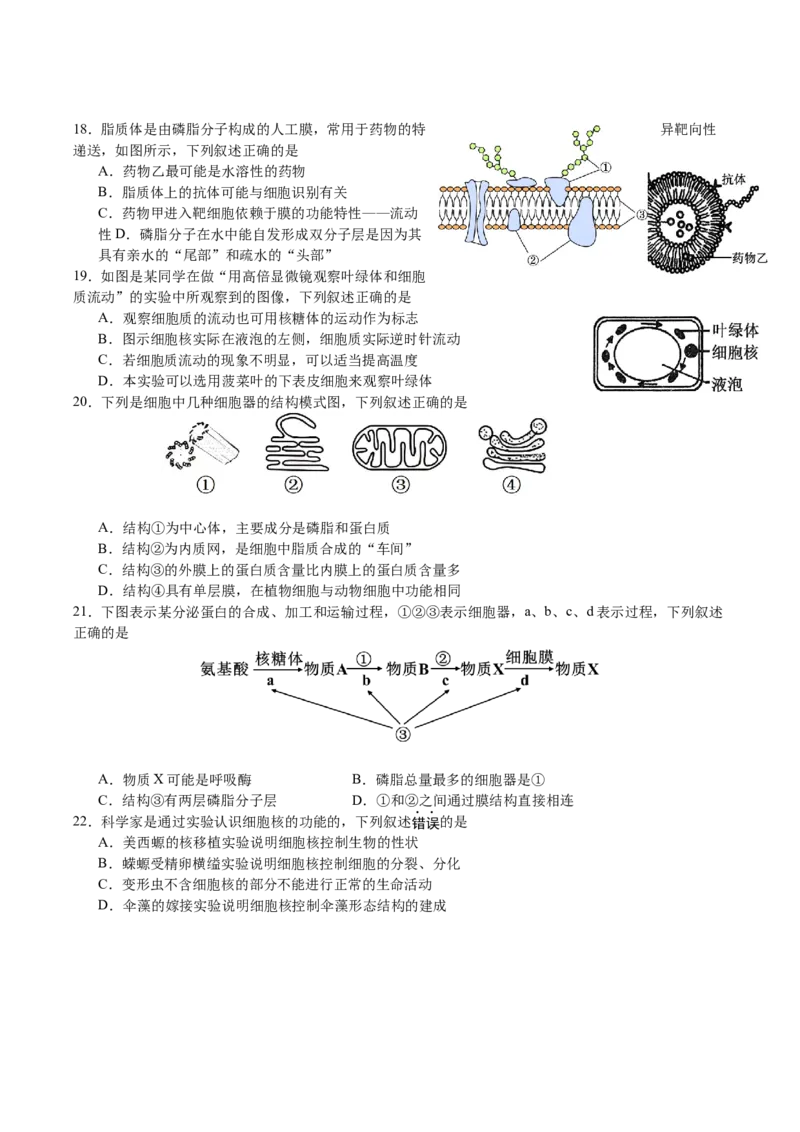 《江苏省扬州市邗江区2025-2026学年高一上学期期中考试生物Word版含答案_2026年高一《月考+期中考+阶段性检测真题合集》全国各省全科无水印》第4页预览