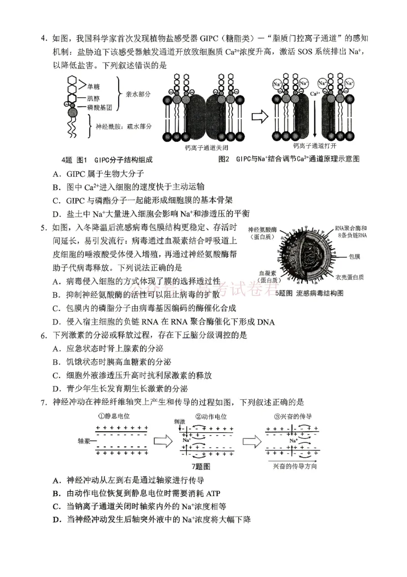 《重庆九龙坡等区高2026届学业质量调研抽测生物_副本_副本_副本_12.2026年4月全国各地高考模拟卷_2026年4月_重庆九龙坡等区二测2026年重庆九龙坡等区学业质量调研抽测（第二次）全科》第2页预览