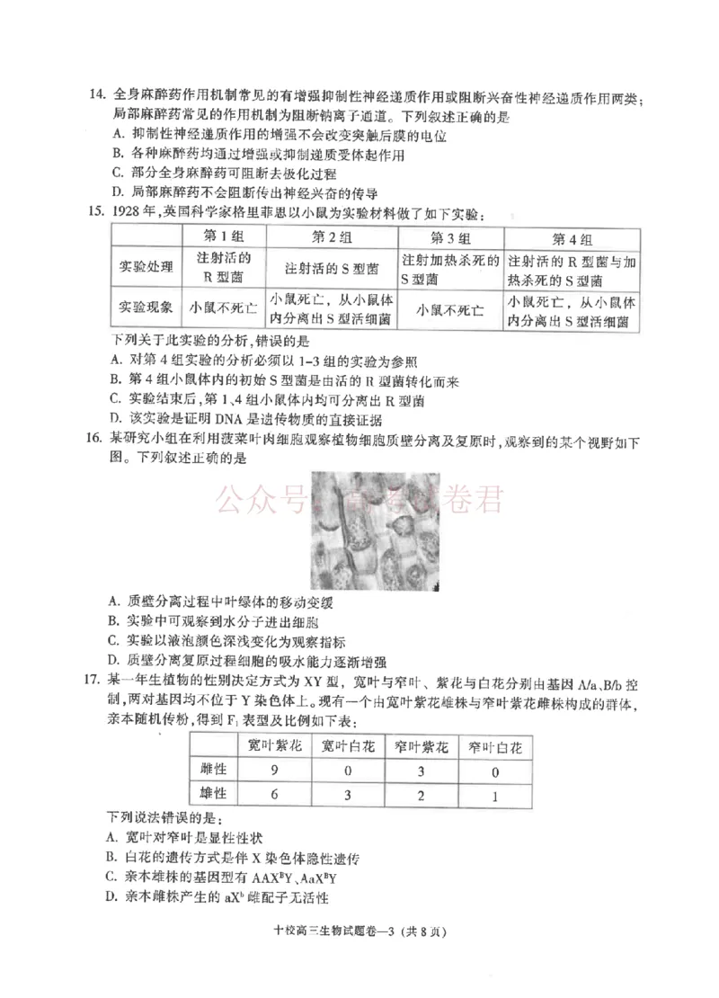 《金华十校2026年4月高三模拟考试生物_副本_12.2026年4月全国各地高考模拟卷_2026年4月_2026届浙江省金华十校高三4月模拟考试全科_06生物_浙江省金华十校高三4月模拟考试》第3页预览