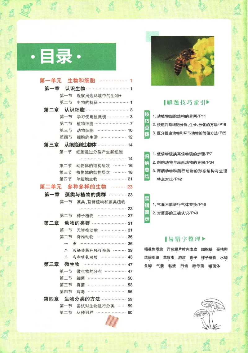 《0c27dcf511cfbdab71ebf5a23accaca4》第4页预览