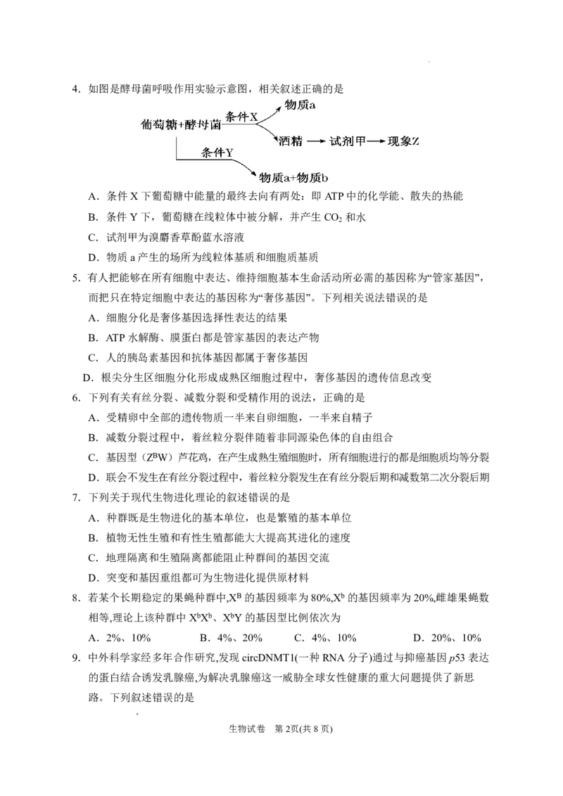 《银川一中2026届高三下学期考前模拟生物_2024-2027高三（6-6月题库）_2026年06月高三试卷_260603宁夏回族自治区银川一中2026届高三下学期考前模拟（全科）》第2页预览