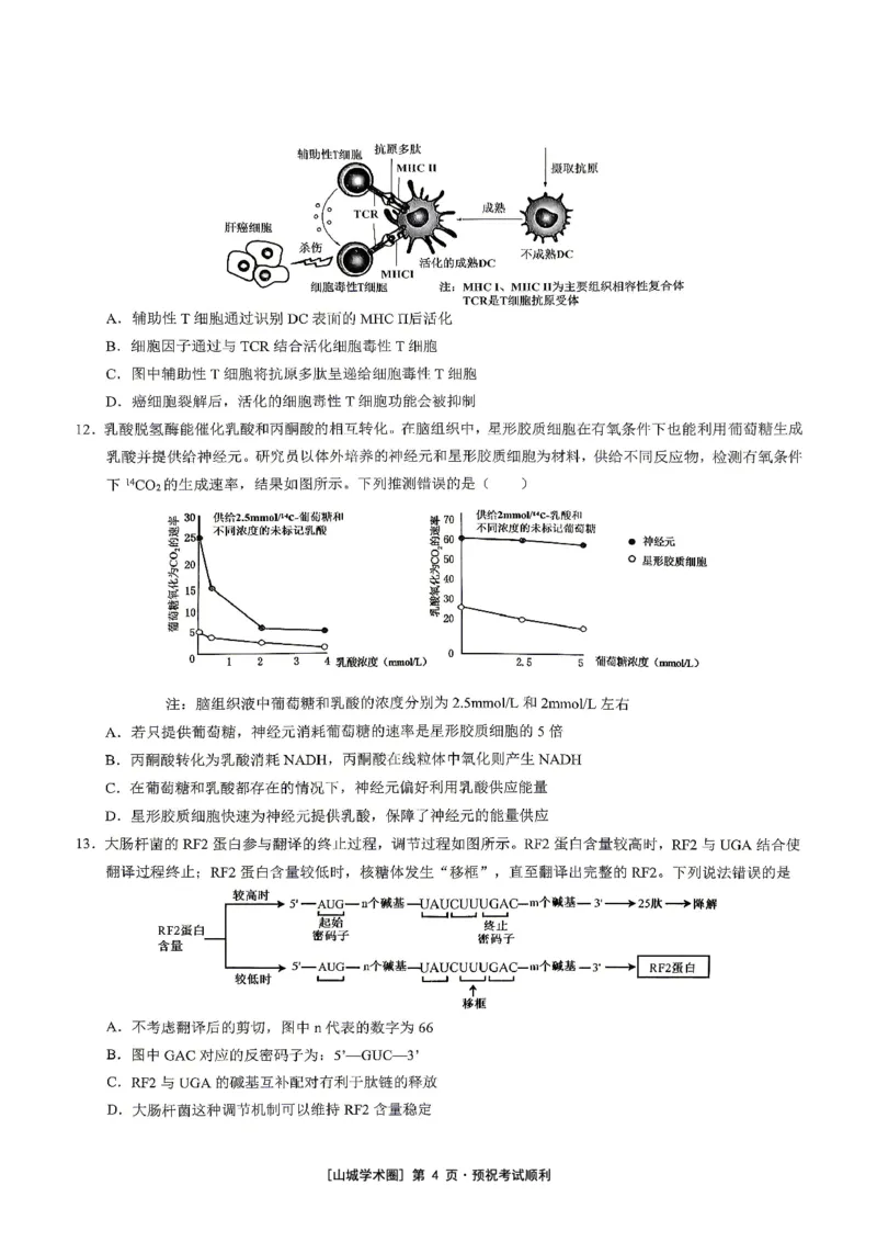 《重庆育才中学高2026届高考模拟考试（三）生物_2024-2027高三（6-6月题库）_2026年06月高三试卷_260603重庆育才中学高2026届高考模拟考试（三）（全科）》第4页预览