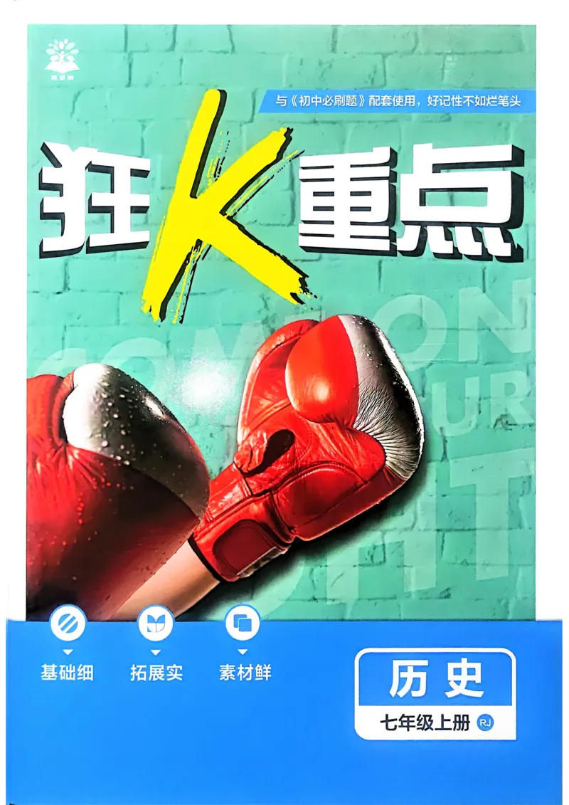 《13f44758c2ede21390c80589ff63addb》第1页预览