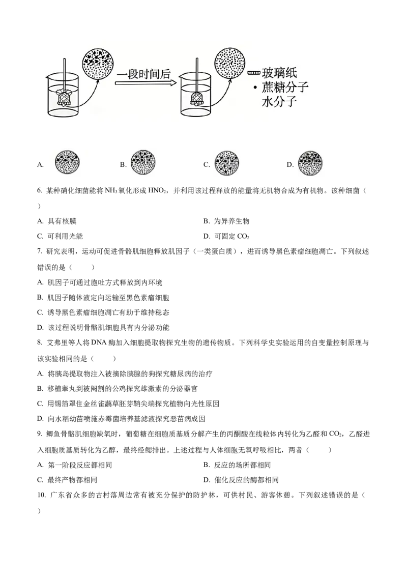 《2026年高考广东卷生物高考真题（原卷版）_广东高考真题（26）_2008-2026（广东）生物高考真题》第2页预览