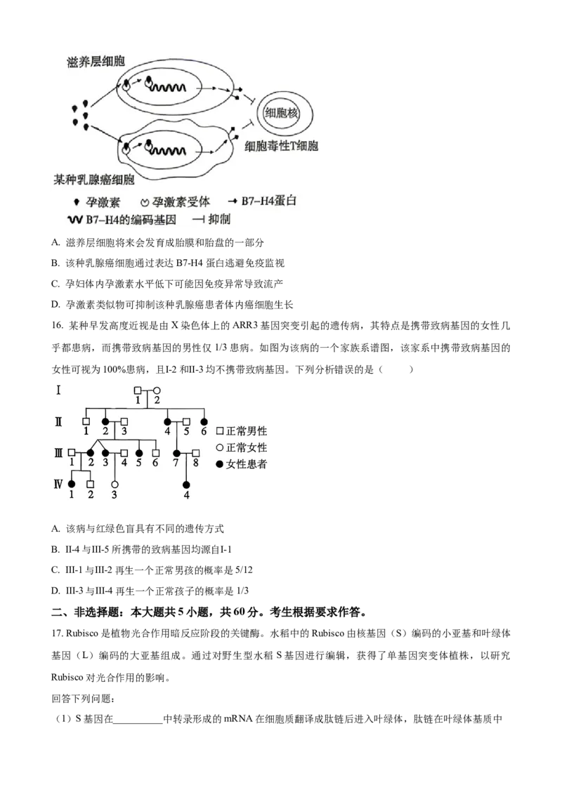 《2026年高考广东卷生物高考真题（原卷版）_广东高考真题（26）_2008-2026（广东）生物高考真题》第5页预览