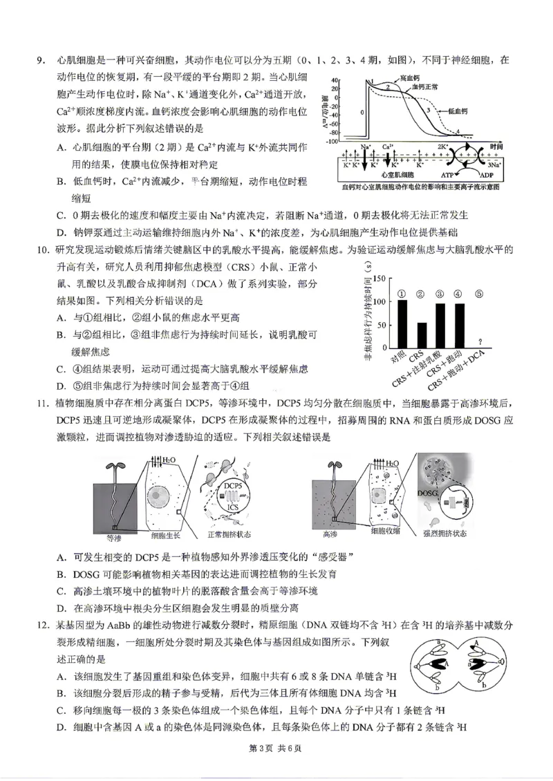 《重庆市2026年普通高等学校招生全国统一考试生物+答案_2024-2027高三（6-6月题库）_2026年05月高三试卷_260517重庆市2026年普通高等学校招生全国统一考试（康德三诊）（全科）》第3页预览