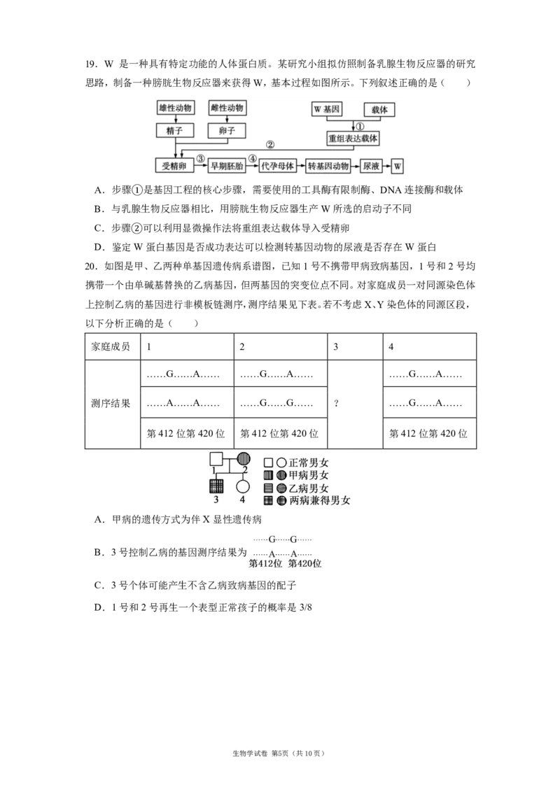 《辽宁省实验中学2025-2026学年高三下学期模拟生物试卷_2024-2027高三（6-6月题库）_2026年06月高三试卷_260603辽宁省省实验中学2025-2026学年高三下学期第五次模拟试卷（全科）》第5页预览