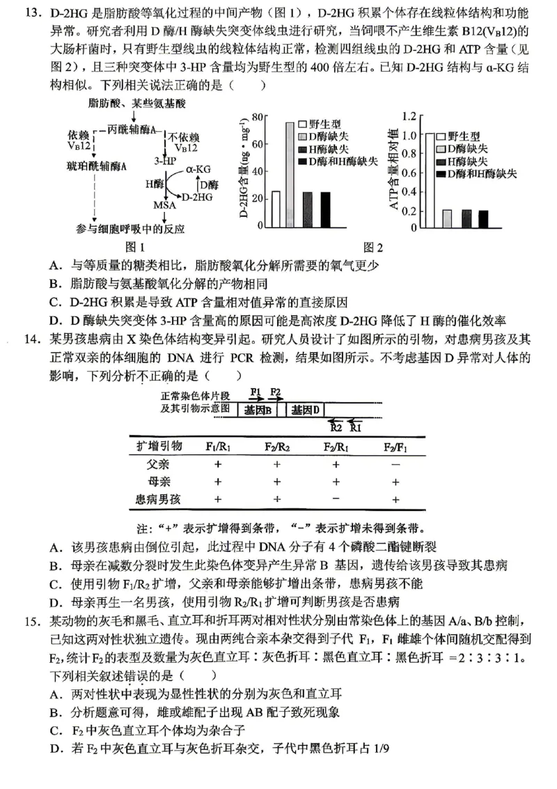 《西南大学附中高2026届高考全真模拟试题生物_2024-2027高三（6-6月题库）_2026年05月高三试卷_260508重庆西南大学附中高2026届高考全真模拟试题（全科）》第5页预览