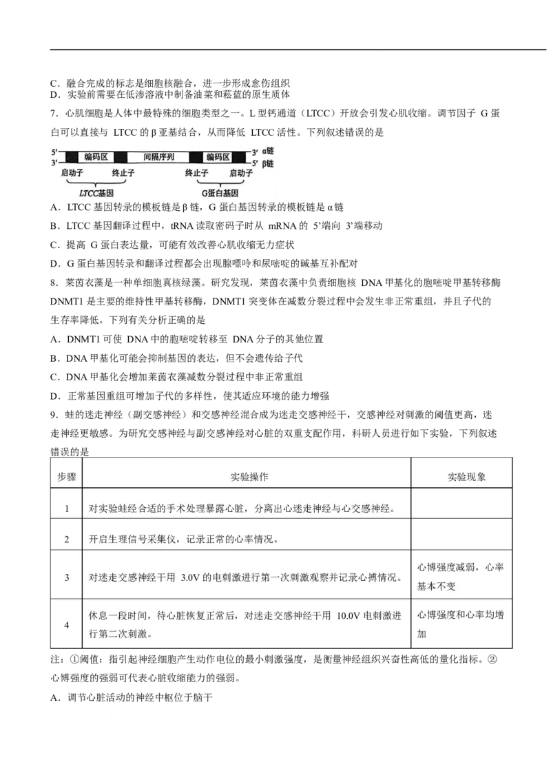 《辽宁省名校联盟2026届高三下学期高考模拟卷（信息卷）（二）生物试卷_2024-2027高三（6-6月题库）_2026年05月高三试卷》第4页预览
