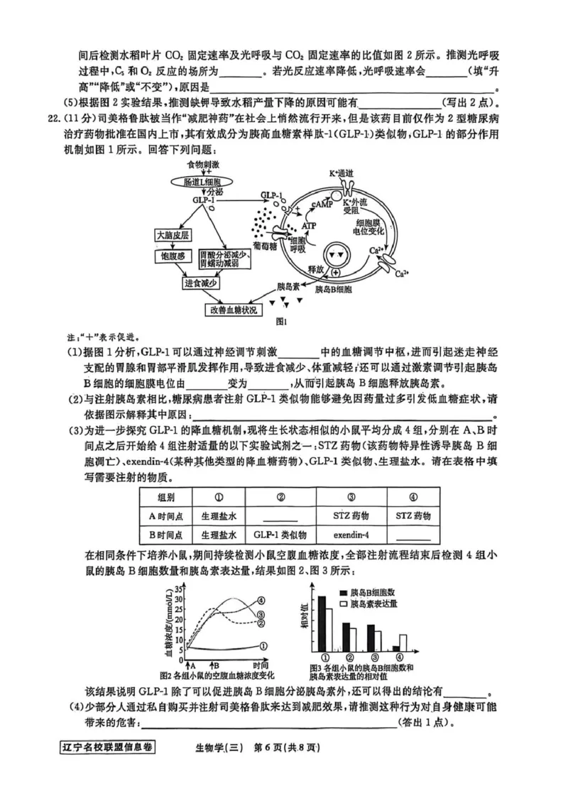 《辽宁省名校联盟2026届高三下学期高考模拟卷（信息卷）（三）生物试卷（含答案）_12.2026年4月全国各地高考模拟卷_2026届辽宁省名校联盟高三下学期高考模拟卷（信息卷）（一二三四）》第6页预览