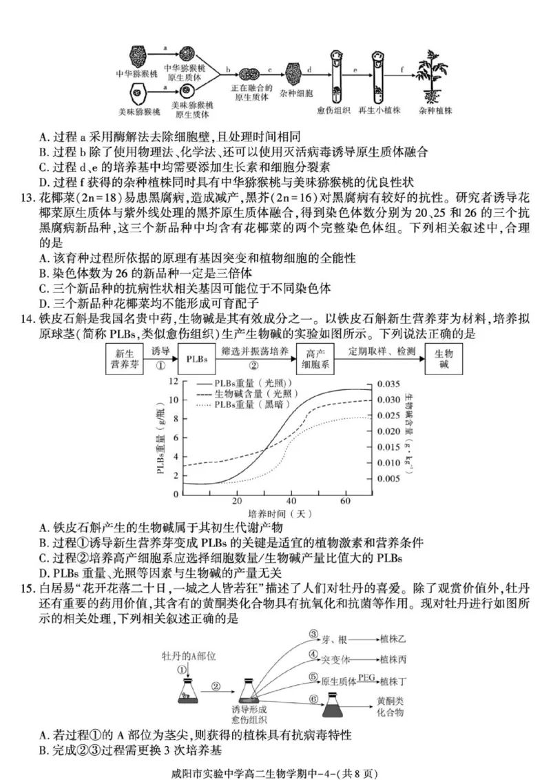 《陕西咸阳市实验中学2025-2026学年高二下学期期中质量检测生物试卷_2024-2027高二(7-7月题库)_2026年05月高二试卷_260527陕西省咸阳市实验中学2025-2026学年高二下学期期中质量检测》第4页预览