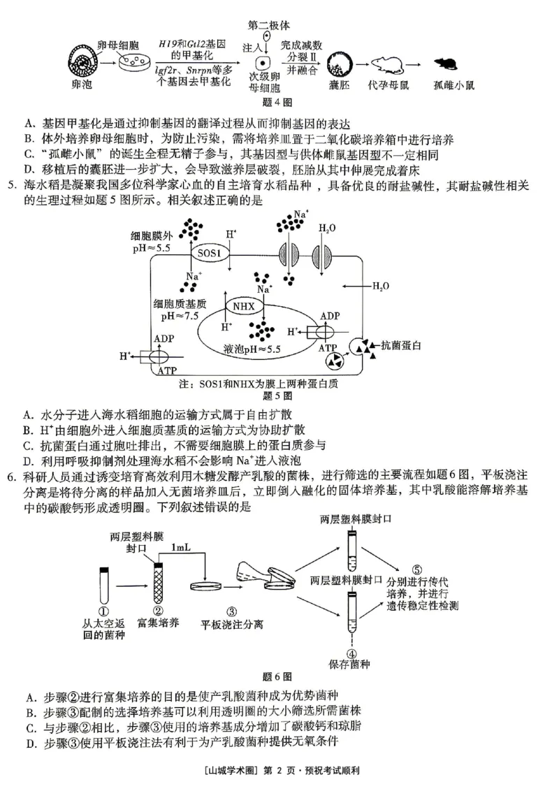 《重庆巴蜀中学高2026届5月适应性月考（十）生物_2024-2027高三（6-6月题库）_2026年05月高三试卷_260528重庆巴蜀中学高2026届5月适应性月考（十）（全科）》第2页预览