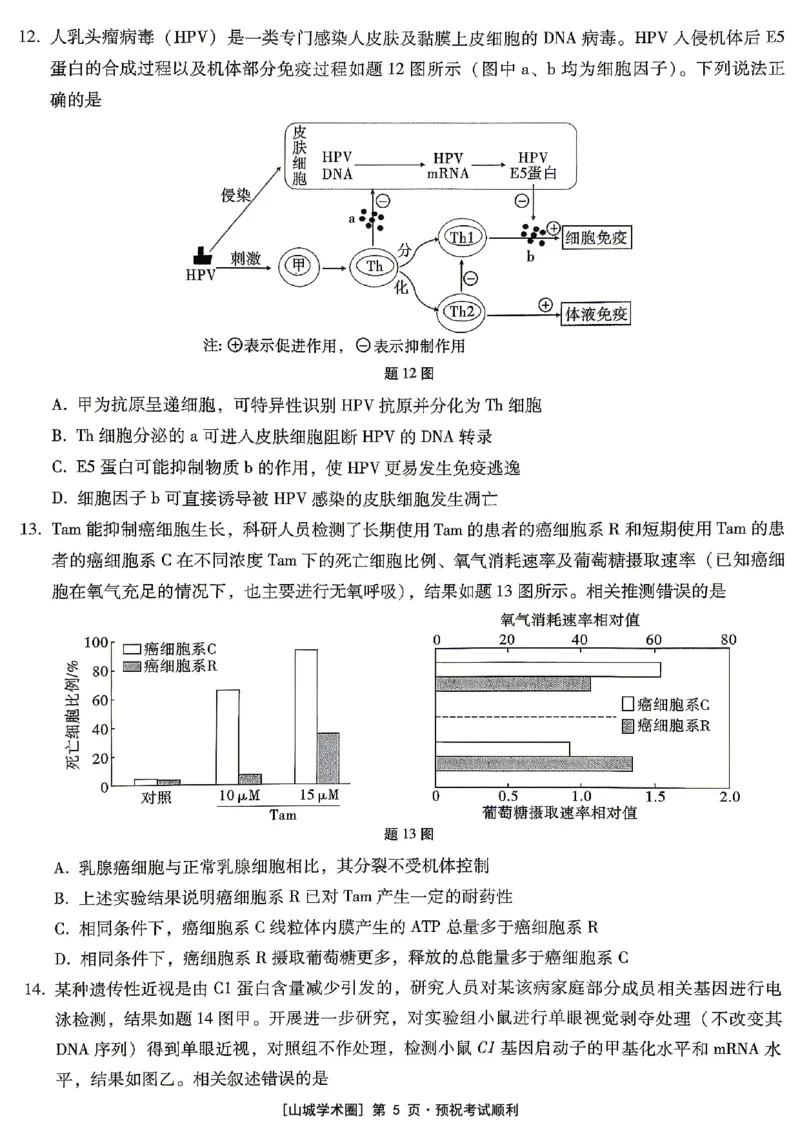 《重庆巴蜀中学高2026届5月适应性月考（十）生物_2024-2027高三（6-6月题库）_2026年05月高三试卷_260528重庆巴蜀中学高2026届5月适应性月考（十）（全科）》第5页预览