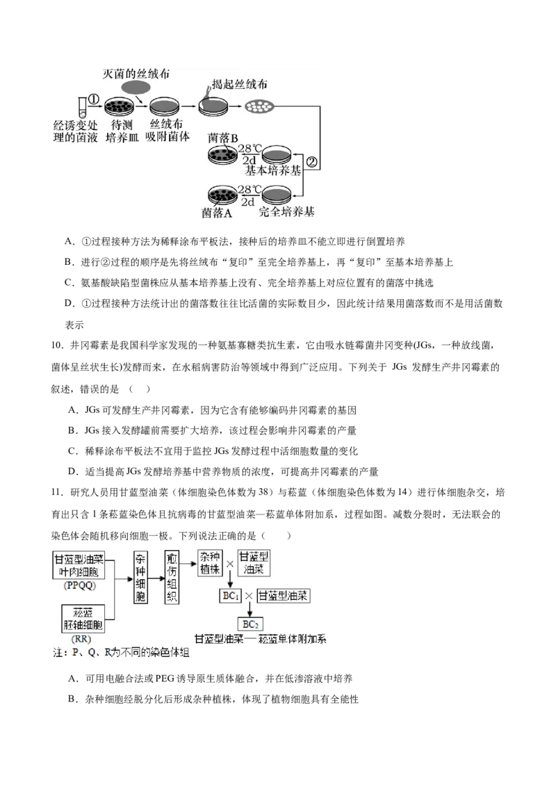 《重庆市第八中学2025-2026学年高二下学期6月阶段检测试题生物Word版含答案_2024-2027高二（7-7月题库）_2026年06月高二试卷_260616重庆市第八中学2025-2026学年高二下学期6月阶段检测试题》第5页预览