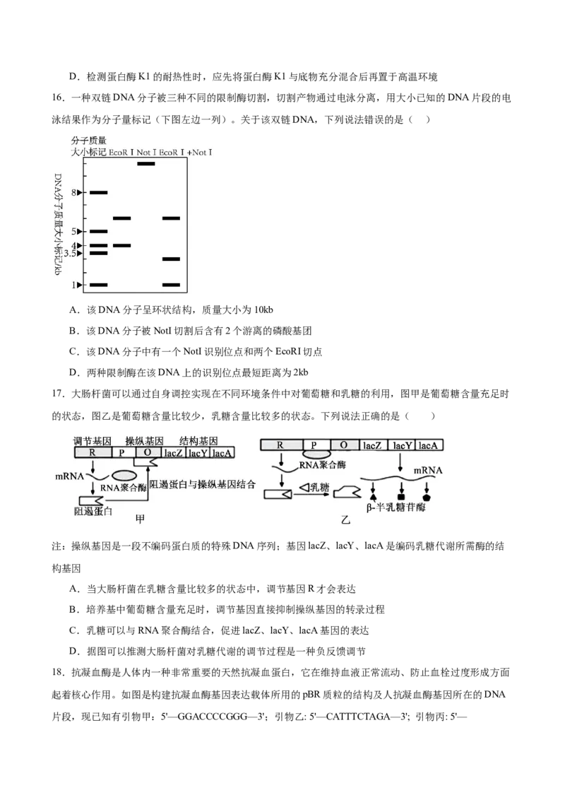 《重庆市第八中学2025-2026学年高二下学期6月阶段检测试题生物Word版含答案_2024-2027高二（7-7月题库）_2026年06月高二试卷_260616重庆市第八中学2025-2026学年高二下学期6月阶段检测试题》第7页预览