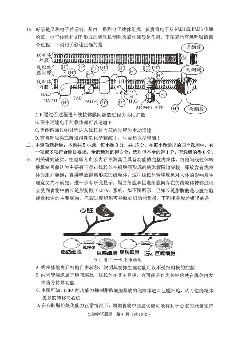 《辽宁省抚顺市2025-2026学年高三下学期3月模拟考试生物试题_12.2026年4月全国各地高考模拟卷_2026届辽宁省抚顺市高三3月模拟考试（抚顺一模）全科》第4页预览
