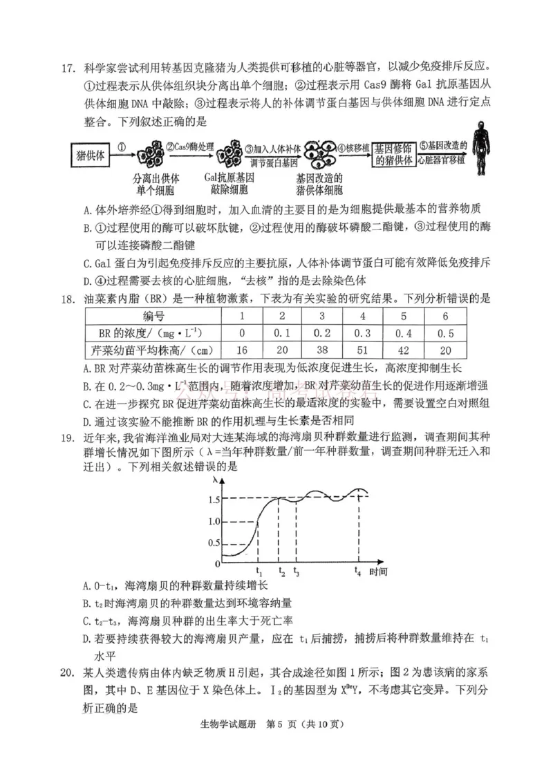 《辽宁省抚顺市2025-2026学年高三下学期3月模拟考试生物试题_12.2026年4月全国各地高考模拟卷_2026届辽宁省抚顺市高三3月模拟考试（抚顺一模）全科》第5页预览