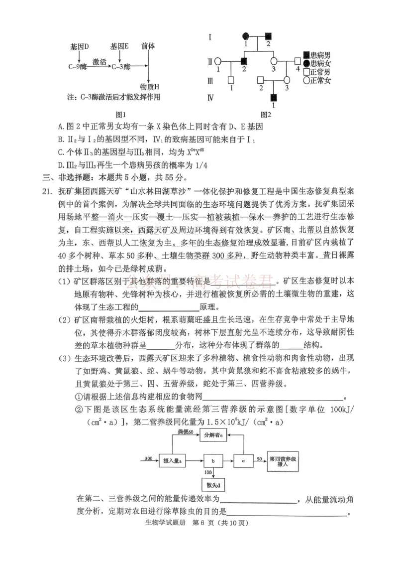 《辽宁省抚顺市2025-2026学年高三下学期3月模拟考试生物试题_12.2026年4月全国各地高考模拟卷_2026届辽宁省抚顺市高三3月模拟考试（抚顺一模）全科》第6页预览