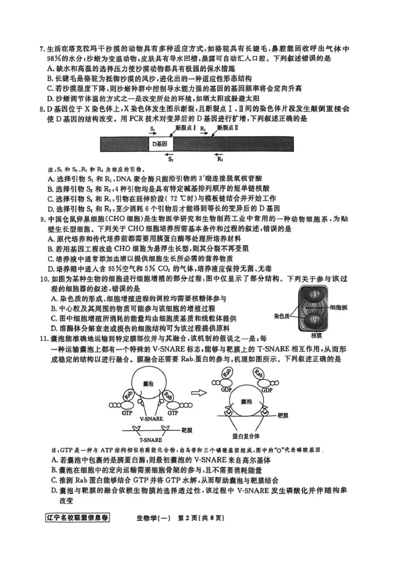 《辽宁省名校联盟2026届高三下学期高考模拟卷（信息卷）（一）生物试卷（含答案）_2024-2027高三（6-6月题库）_2026年05月高三试卷》第2页预览