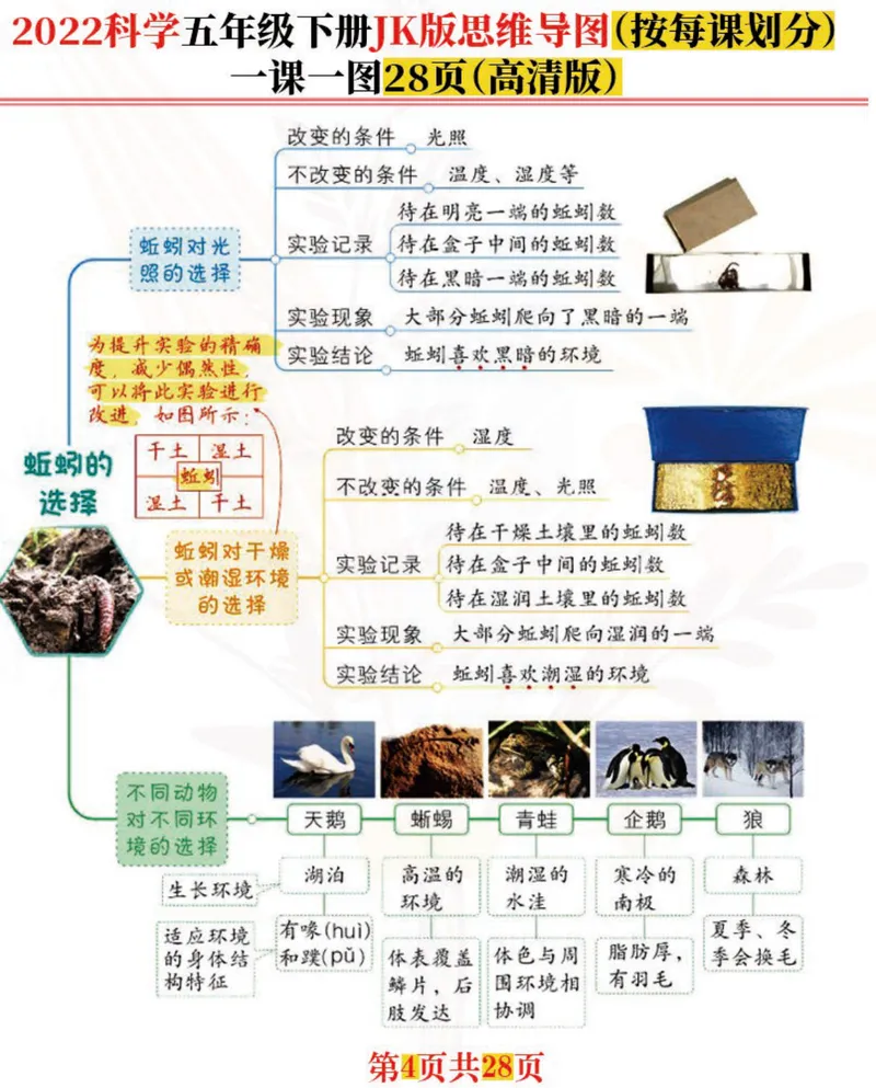 《「新」科学五年级下：每课思维导图，高清完结版共28张！名师推荐_小学1-6年级全科全套_1-6年级全科下册_五年级_五年级下科学》第4页预览