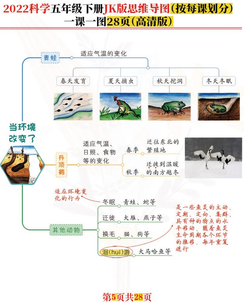 《「新」科学五年级下：每课思维导图，高清完结版共28张！名师推荐_小学1-6年级全科全套_1-6年级全科下册_五年级_五年级下科学》第5页预览