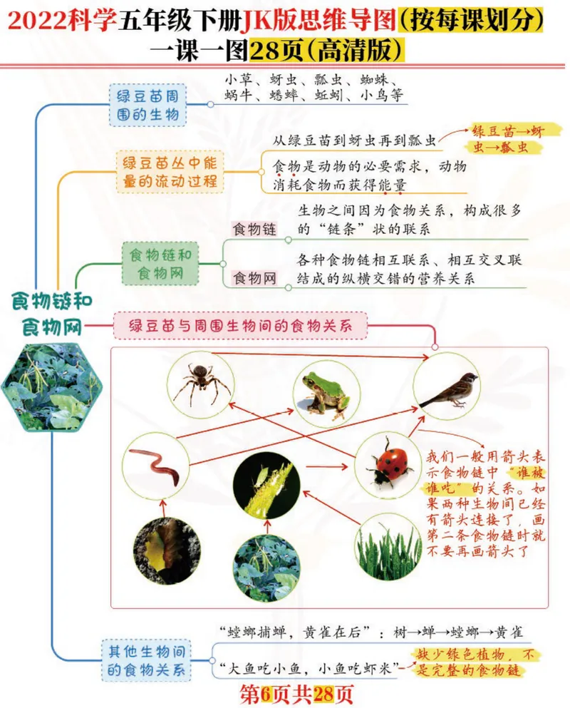 《「新」科学五年级下：每课思维导图，高清完结版共28张！名师推荐_小学1-6年级全科全套_1-6年级全科下册_五年级_五年级下科学》第6页预览