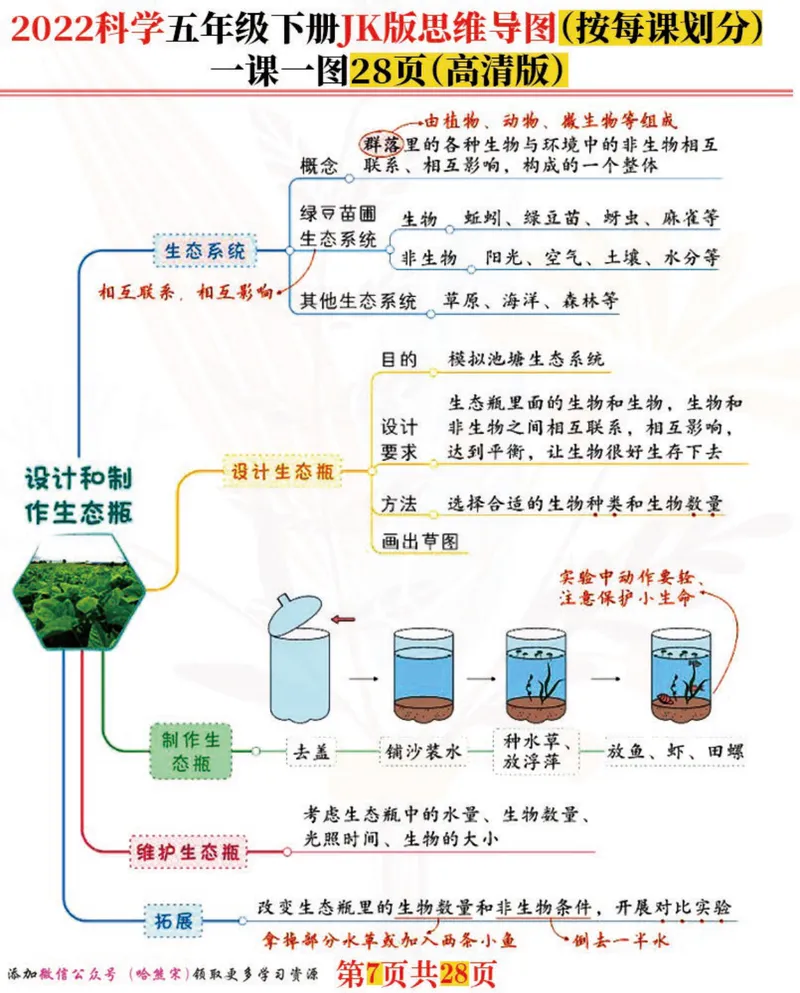 《「新」科学五年级下：每课思维导图，高清完结版共28张！名师推荐_小学1-6年级全科全套_1-6年级全科下册_五年级_五年级下科学》第7页预览