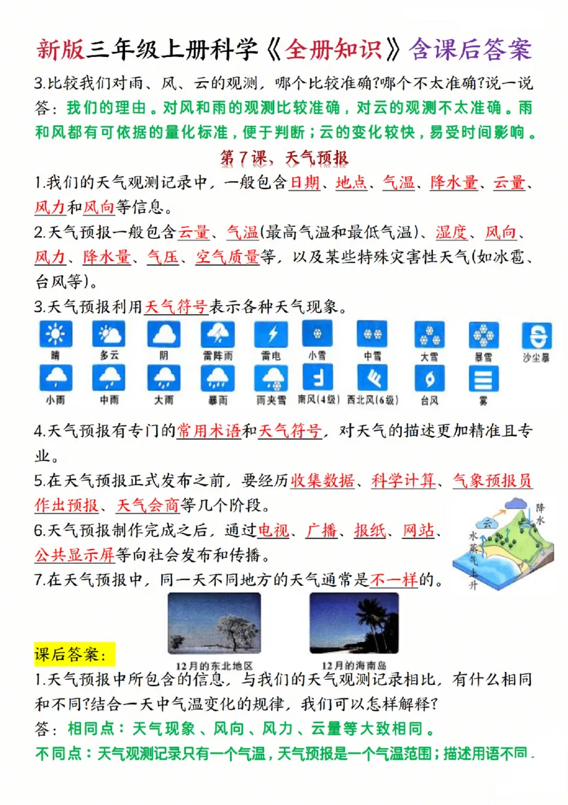 《三年级（上）科学《全册知识》含课后答案《教科版》_赠送2026小学1-6年级资料合集(按需自取)_三年级_三年级（上）科学《全册知识》含课后答案《教科版》(1)》第7页预览