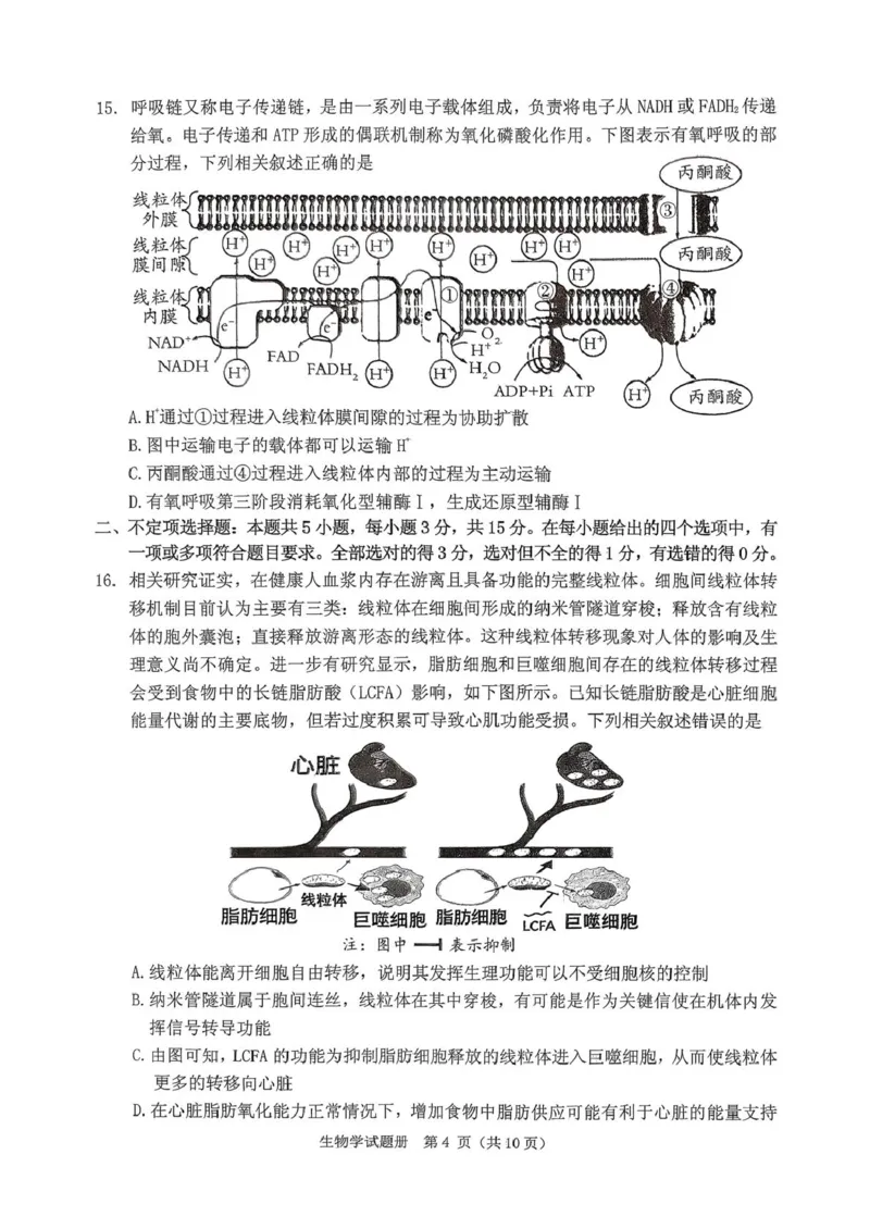 《辽宁省抚顺市2025-2026学年高三下学期3月模拟考试生物试题_12.2026年4月全国各地高考模拟卷_2026届辽宁省抚顺市普通高三年级高考模拟考试（抚顺一模）全科》第4页预览