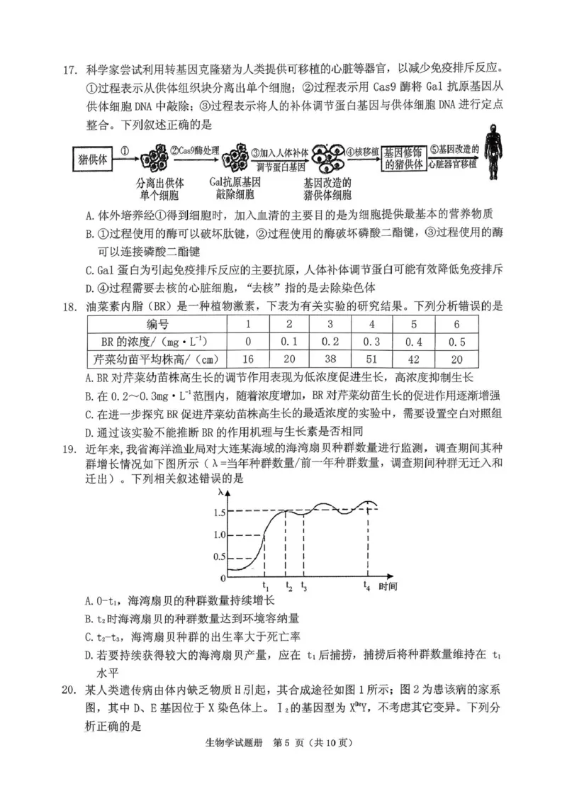 《辽宁省抚顺市2025-2026学年高三下学期3月模拟考试生物试题_12.2026年4月全国各地高考模拟卷_2026届辽宁省抚顺市普通高三年级高考模拟考试（抚顺一模）全科》第5页预览
