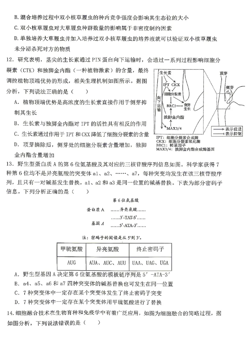 《重庆八中高2026届4月强化训练（四）生物_2024-2027高三（6-6月题库）_2026年05月高三试卷_260507重庆市重庆八中高2026届4月强化训练（四）（全科）》第4页预览