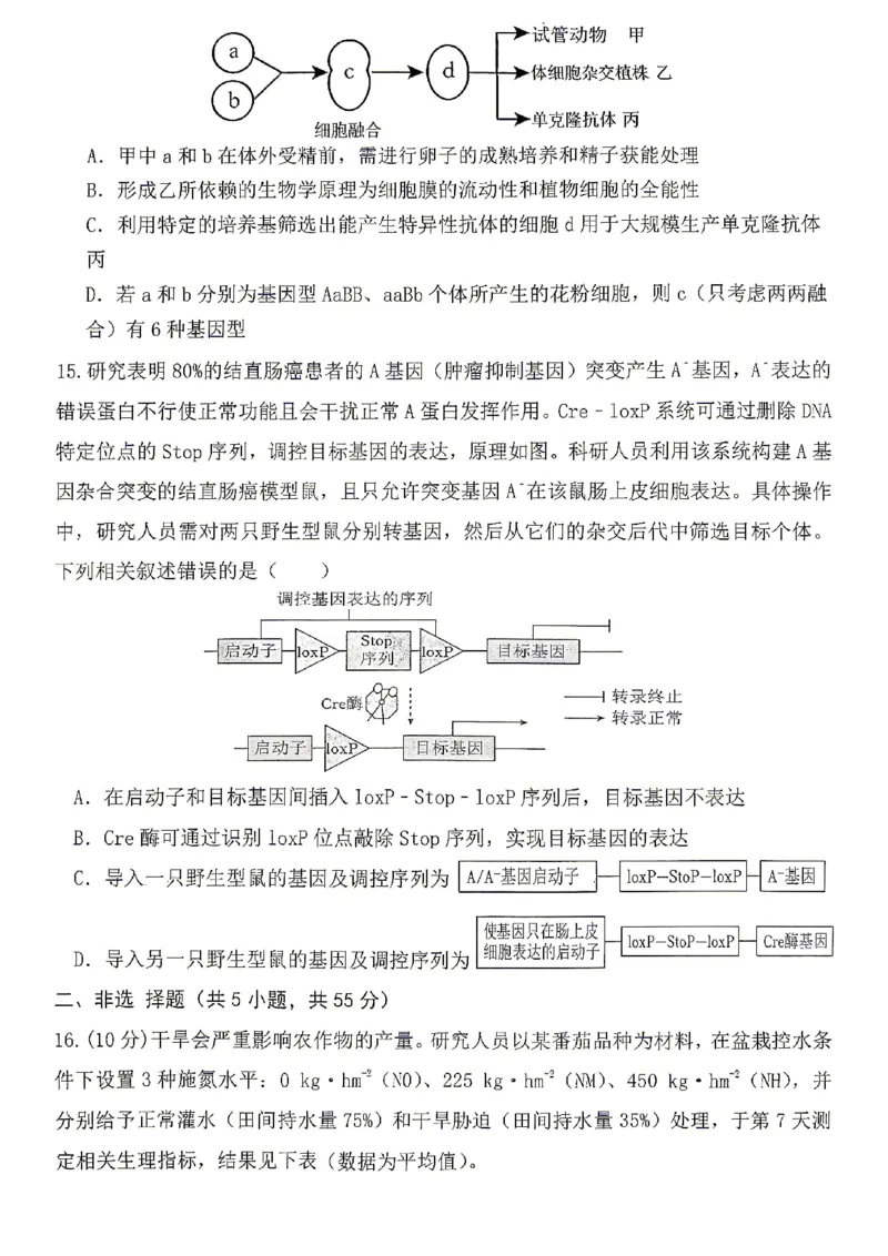 《重庆八中高2026届4月强化训练（四）生物_2024-2027高三（6-6月题库）_2026年05月高三试卷_260507重庆市重庆八中高2026届4月强化训练（四）（全科）》第5页预览
