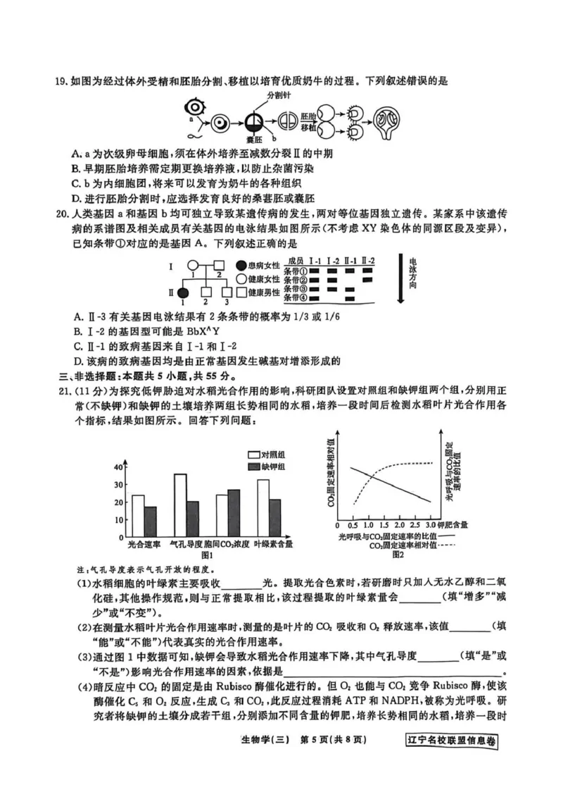 《辽宁省名校联盟2026届高三下学期高考模拟卷（信息卷）（三）生物试卷（含答案）_2024-2027高三（6-6月题库）_2026年05月高三试卷》第5页预览
