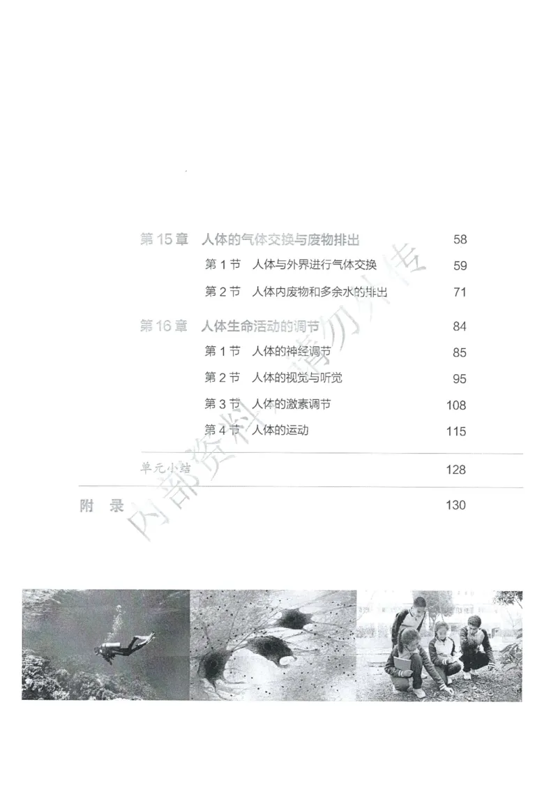 《6d856ea5cbd9e497be347c6765cfca1d》第5页预览