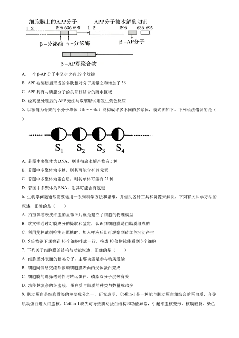 《重庆市巴蜀中学校2025-2026学年高二下学期5月期中生物试题Word版无答案_2024-2027高二（7-7月题库）_2026年06月高二试卷_260611重庆市巴蜀中学2025-2026学年高二下学期5月期中考试（全）》第2页预览