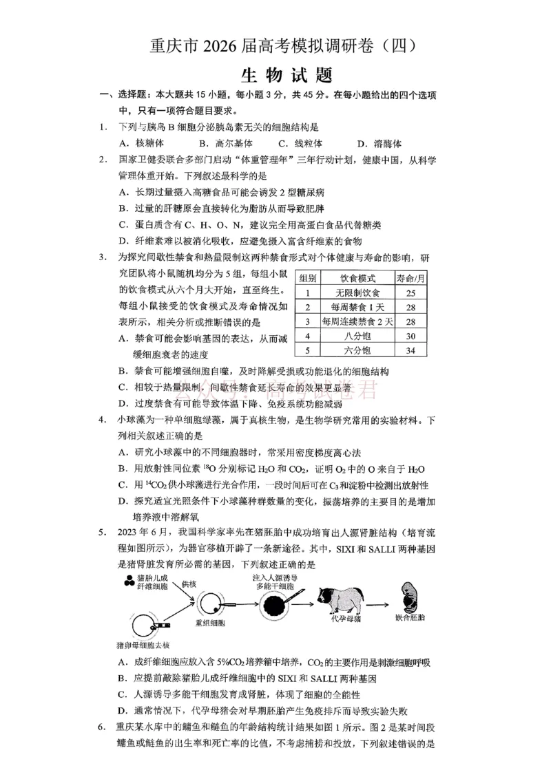《重庆市2026年普通高等学校招生全国统一考试康德调研（四）生物+答案_副本_12.2026年4月全国各地高考模拟卷_2026届重庆市康德高三模拟调研（四）全科》第1页预览