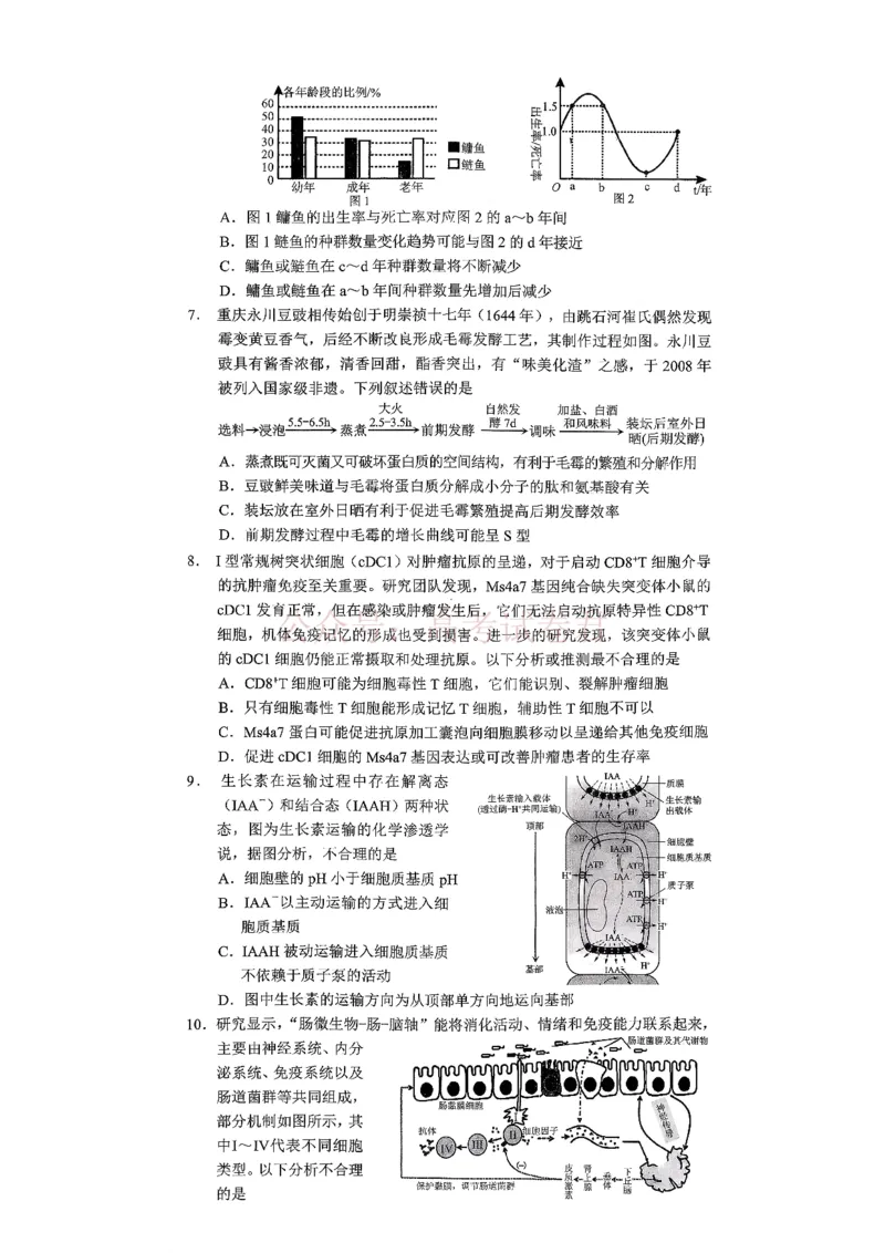 《重庆市2026年普通高等学校招生全国统一考试康德调研（四）生物+答案_副本_12.2026年4月全国各地高考模拟卷_2026届重庆市康德高三模拟调研（四）全科》第2页预览