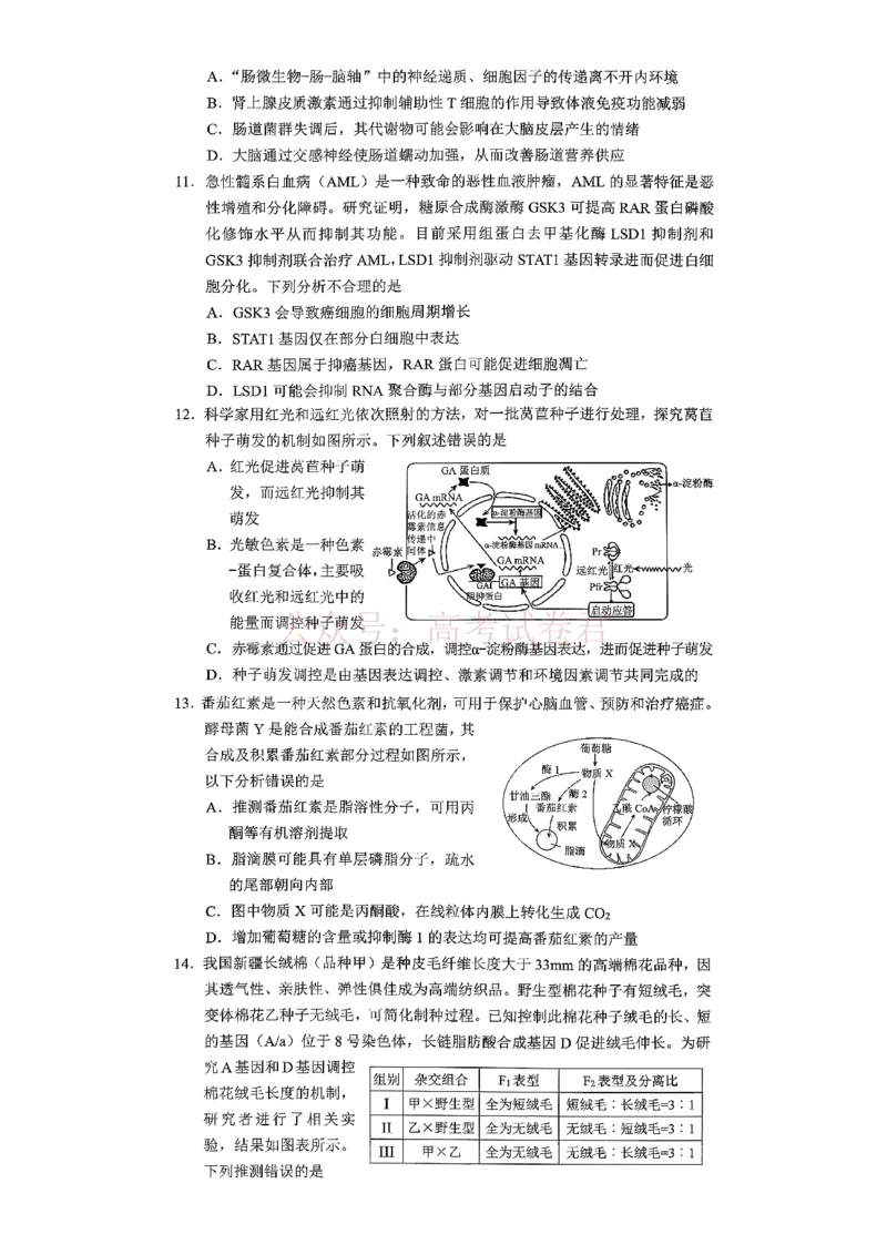 《重庆市2026年普通高等学校招生全国统一考试康德调研（四）生物+答案_副本_12.2026年4月全国各地高考模拟卷_2026届重庆市康德高三模拟调研（四）全科》第3页预览