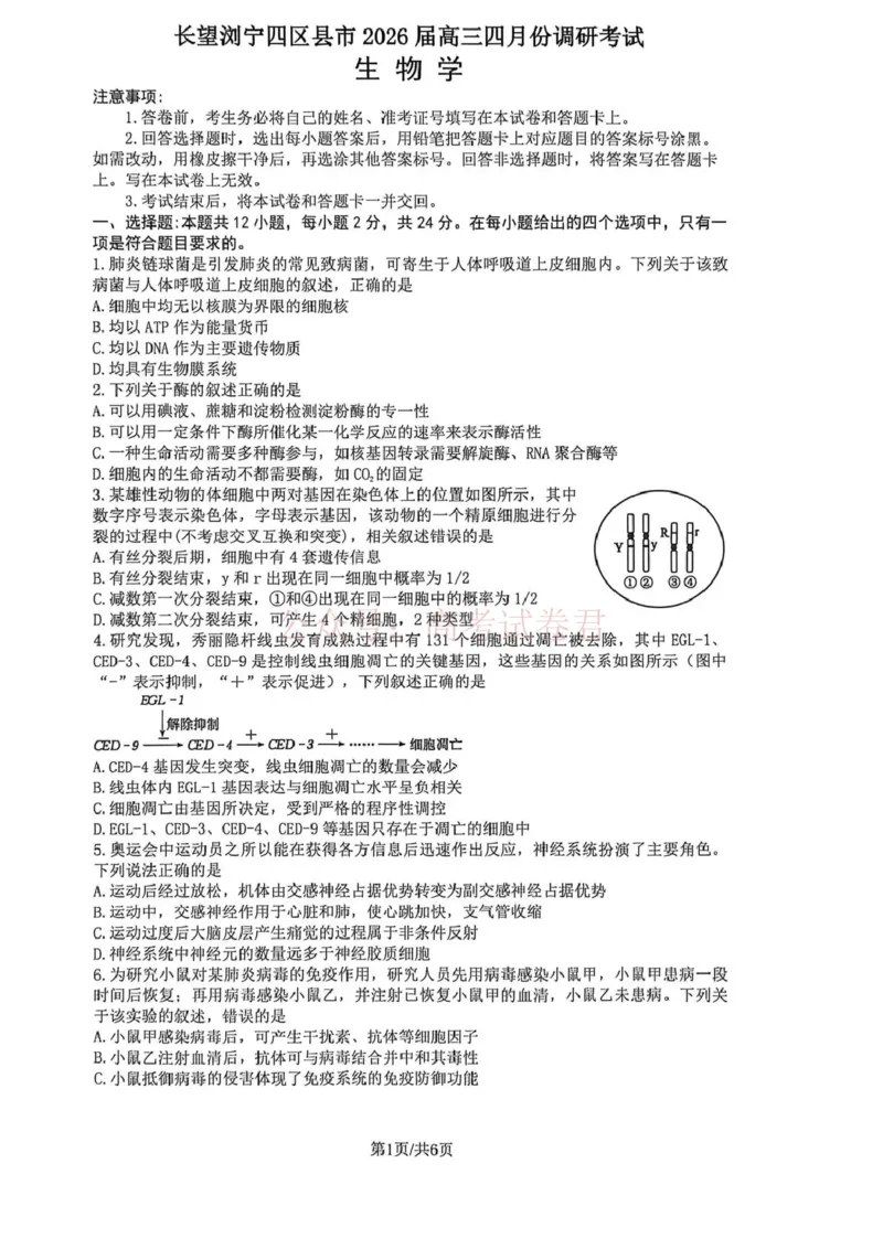 《长望浏宁四区县市2026届高三四月份调研考试生物_副本_12.2026年4月全国各地高考模拟卷_2026年4月_2026年湖南省长望浏宁高三四月份调研考试_06生物_湖南省长望浏宁高三四月份调研考试》第1页预览