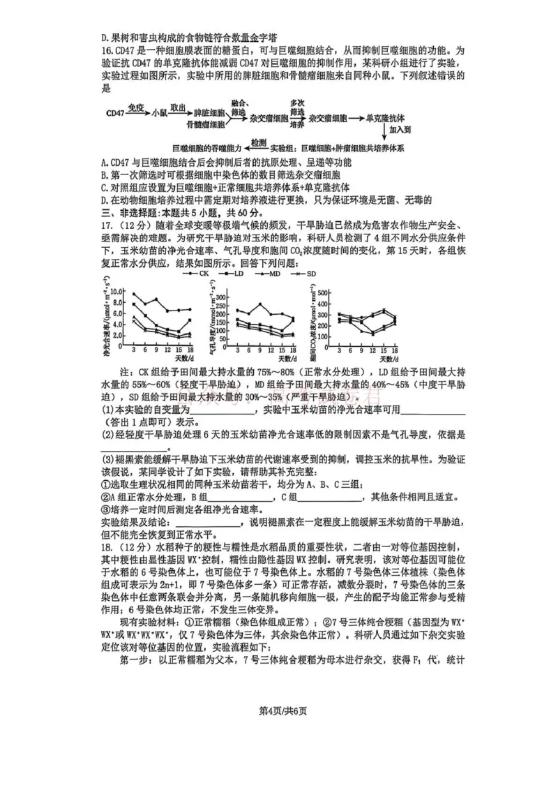 《长望浏宁四区县市2026届高三四月份调研考试生物_副本_12.2026年4月全国各地高考模拟卷_2026年4月_2026年湖南省长望浏宁高三四月份调研考试_06生物_湖南省长望浏宁高三四月份调研考试》第4页预览