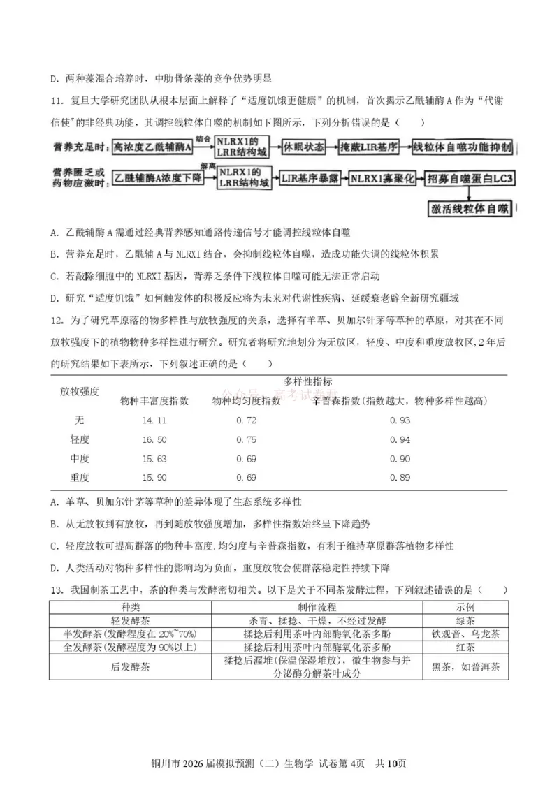 《铜川市2026届模拟预测（二）生物+答案_12.2026年4月全国各地高考模拟卷_2026届陕西省铜川市模拟预测（二）_05生物2026届陕西省铜川市模拟预测（二）》第4页预览