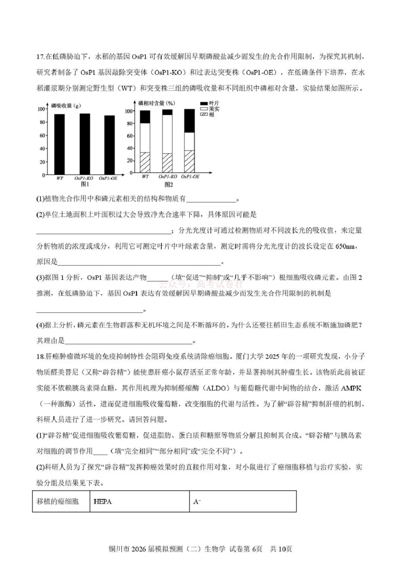《铜川市2026届模拟预测（二）生物+答案_12.2026年4月全国各地高考模拟卷_2026届陕西省铜川市模拟预测（二）_05生物2026届陕西省铜川市模拟预测（二）》第6页预览