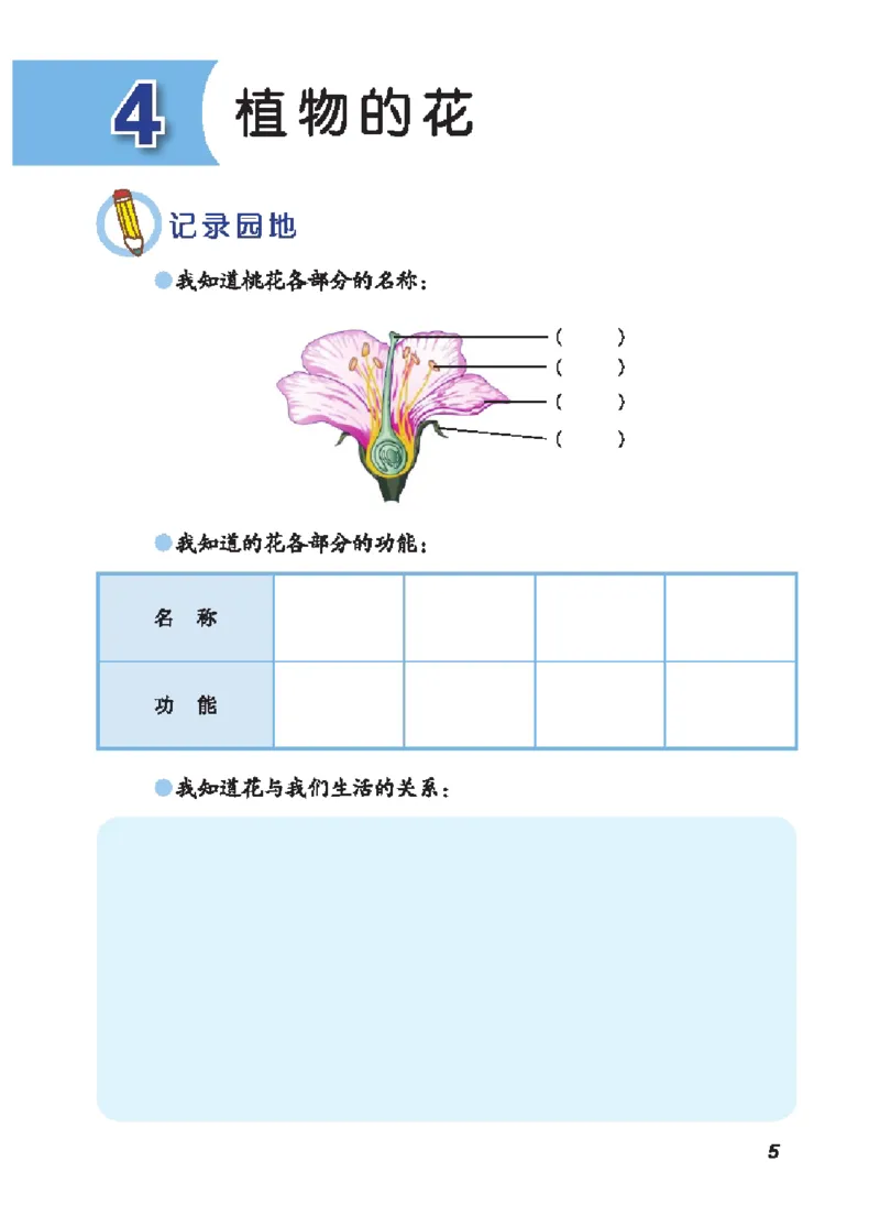 《三年级（上）科学学生活动手册《青岛54版》_赠送2026小学1-6年级资料合集(按需自取)_三年级_三年级（上）科学学生活动手册《青岛54版》》第10页预览