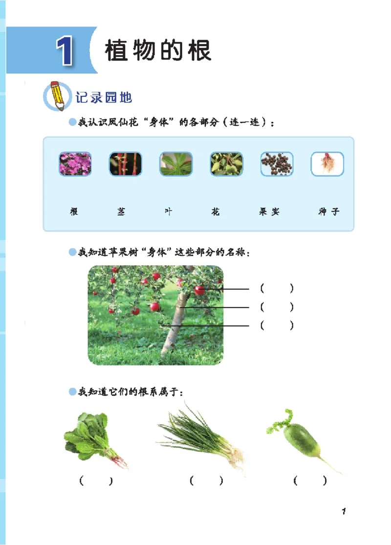 《三年级（上）科学学生活动手册《青岛54版》_赠送2026小学1-6年级资料合集(按需自取)_三年级_三年级（上）科学学生活动手册《青岛54版》》第6页预览